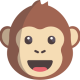 ape